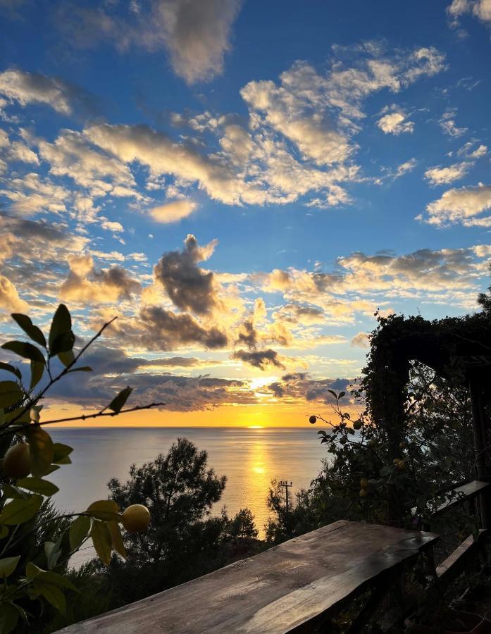 Deep Ocean Camping-Adults Only Faralya Zewnętrze zdjęcie